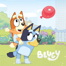 Bluey Birthday Party