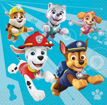 Paw Patrol Birthday Party