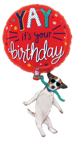 YAY Birthday Dog  37"  Mylar Balloon