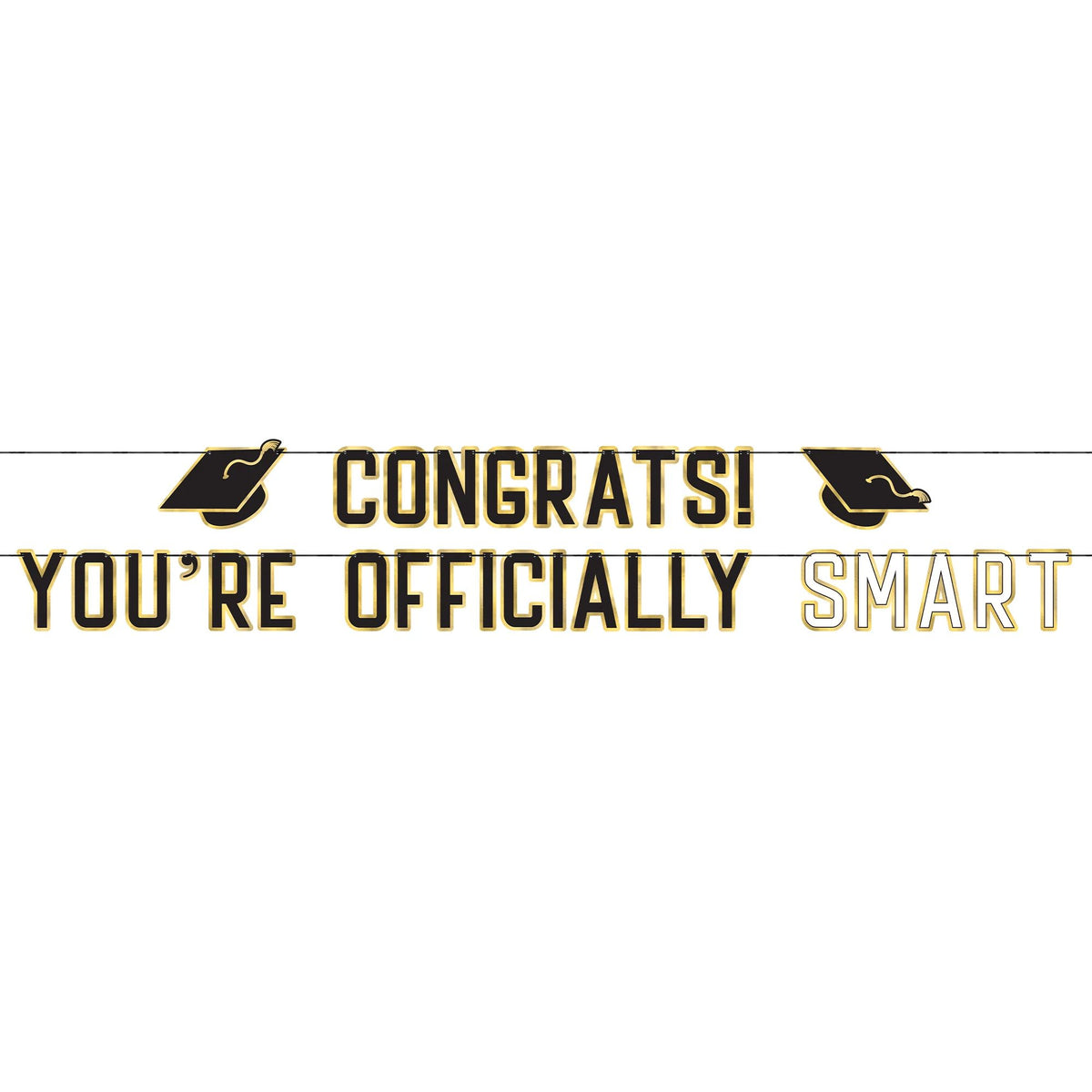 "You're Officially Smart" Letter Banner Set