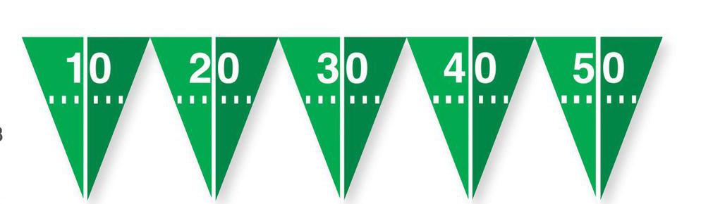 Football Field Design Pennant Flag Banner 10.5" x 9'