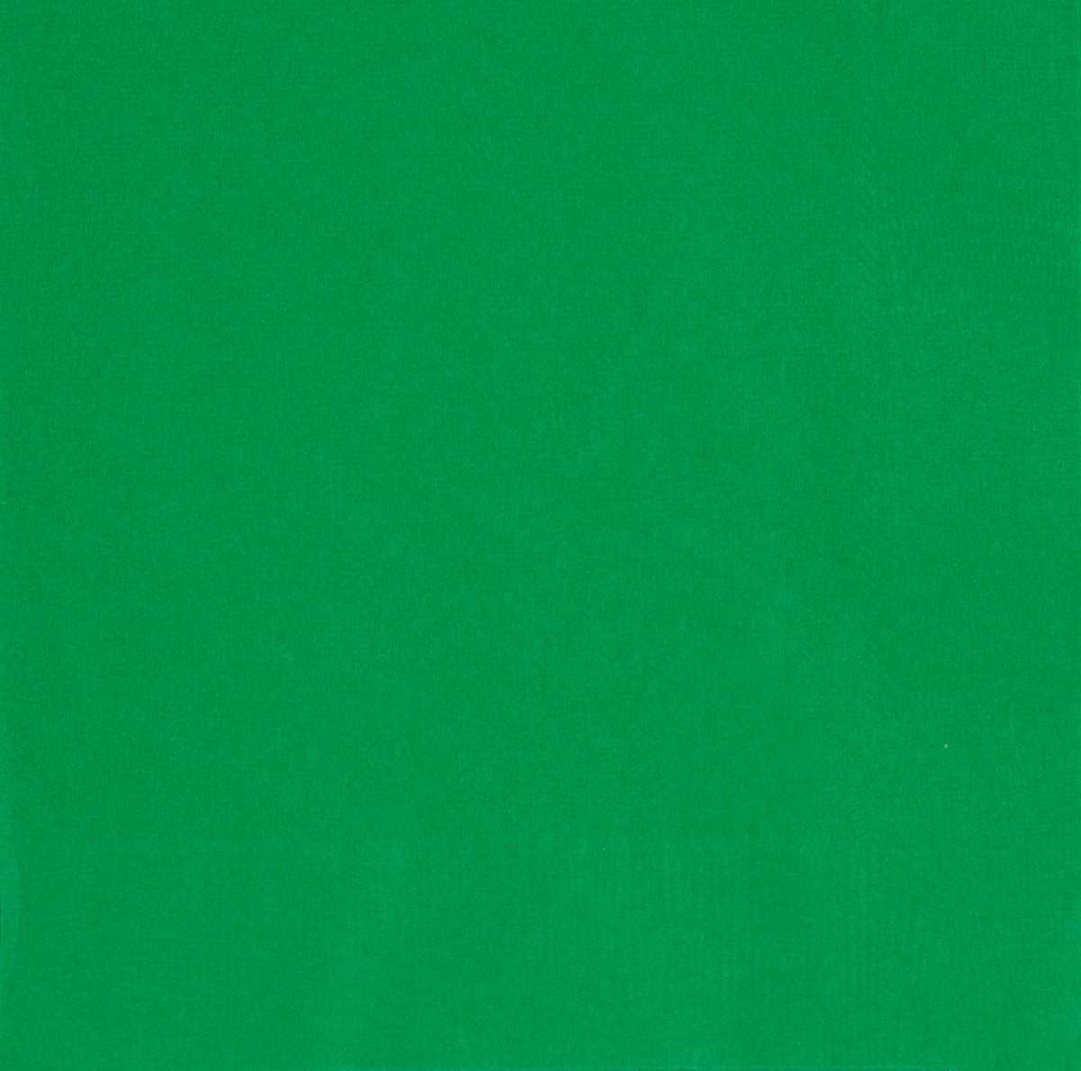 Emerald Green Solid Paper Luncheon Napkins – 40 Count, Holiday & Party Tableware
