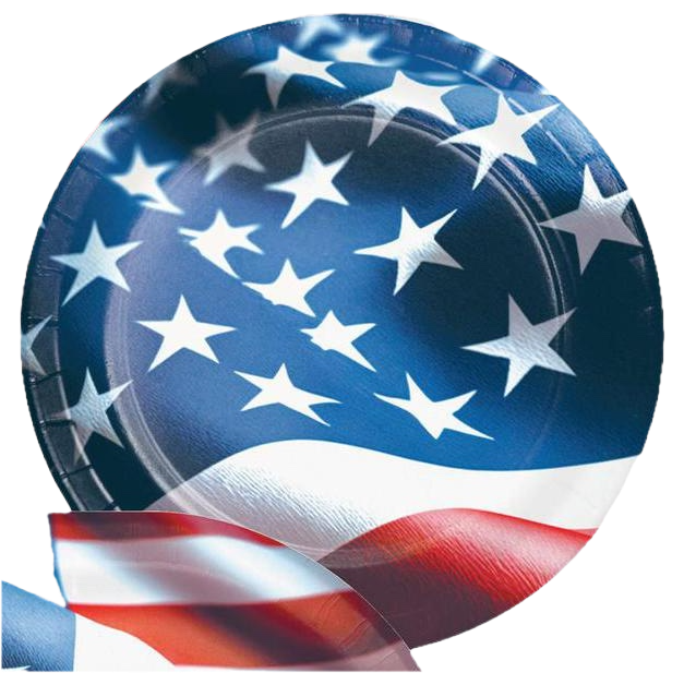 Patriotic Freedom Flag 7" Paper Plate 8ct