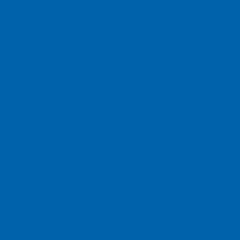 Royal Blue Solid Color Gift Wrap – 30 in x 5 ft Wrapping Paper Roll