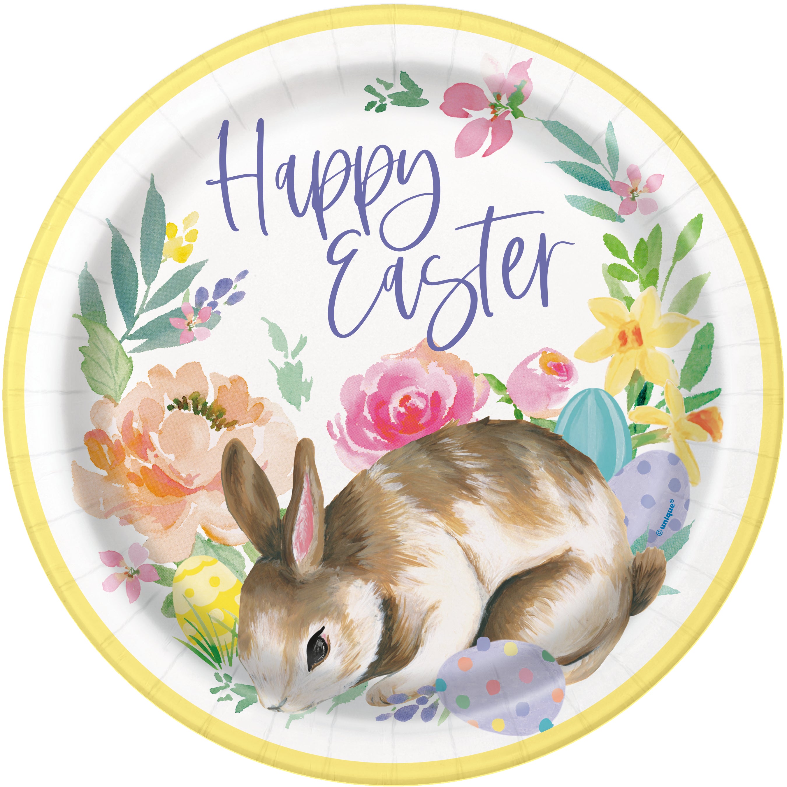 Happy Easter 9 inch round paper dinner plates with bunny and floral watercolor design 8 count available in Manahawkin, NJ.