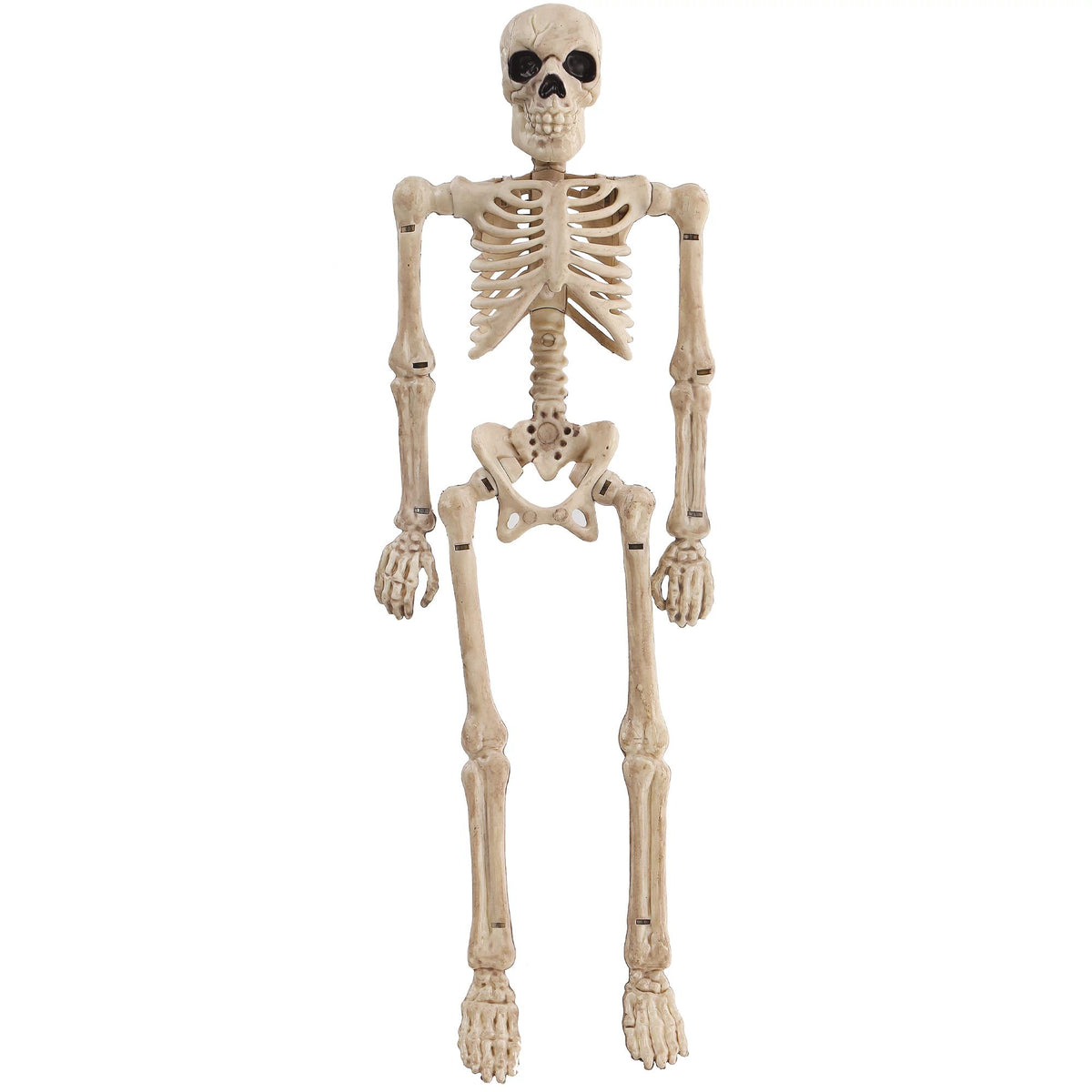 Miniature Realistic 8" Skeleton