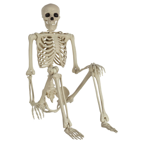 Life-Size Posable Skeleton 17"W x 60"H with 10 articulated joints