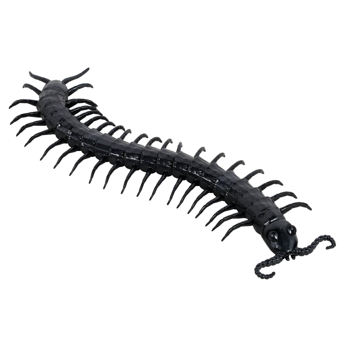 Giant Centipede Prop 3" x 5"