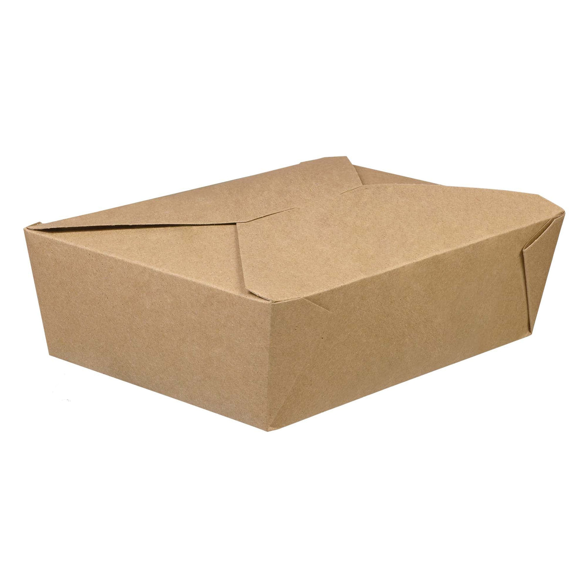 Large Take Away Kraft Box Package of 5