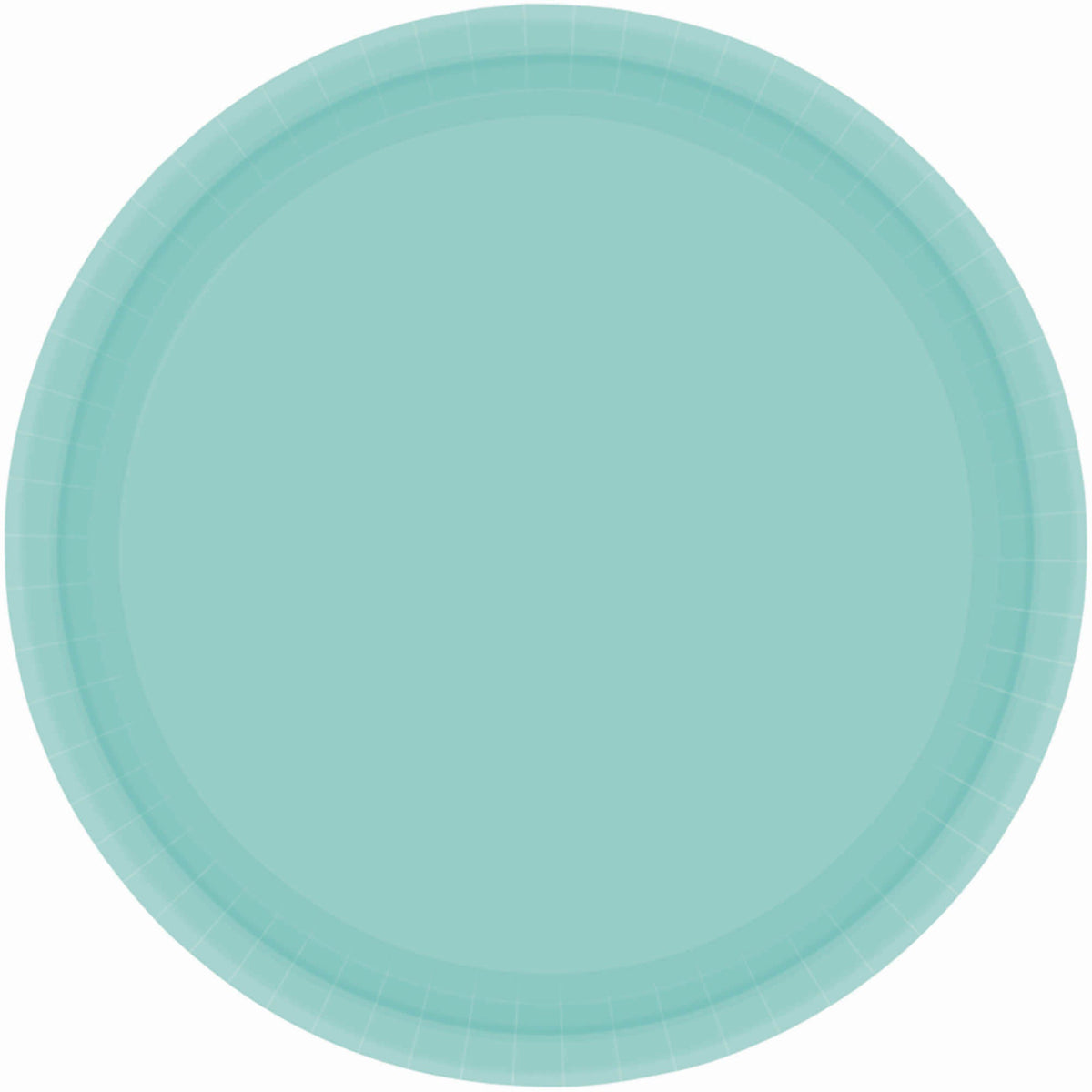 Robin's Egg Blue 9" Round Paper Plates, 20 count